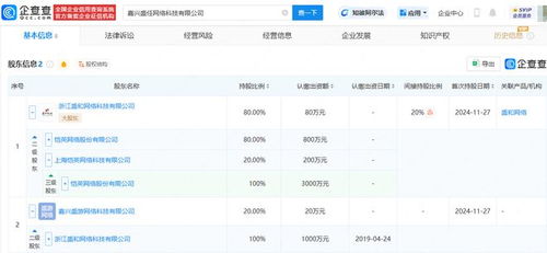 愷英網(wǎng)絡(luò)嘉興布局 投資成立網(wǎng)絡(luò)科技公司，拓展信息技術(shù)咨詢服務(wù)新賽道